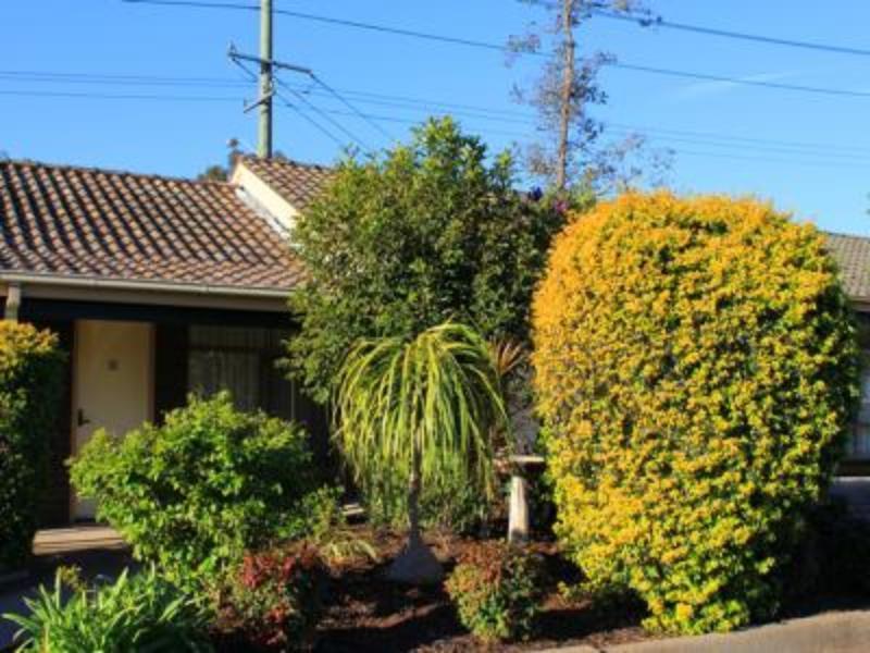 Molly Morgan Motor Inn Maitland Εξωτερικό φωτογραφία